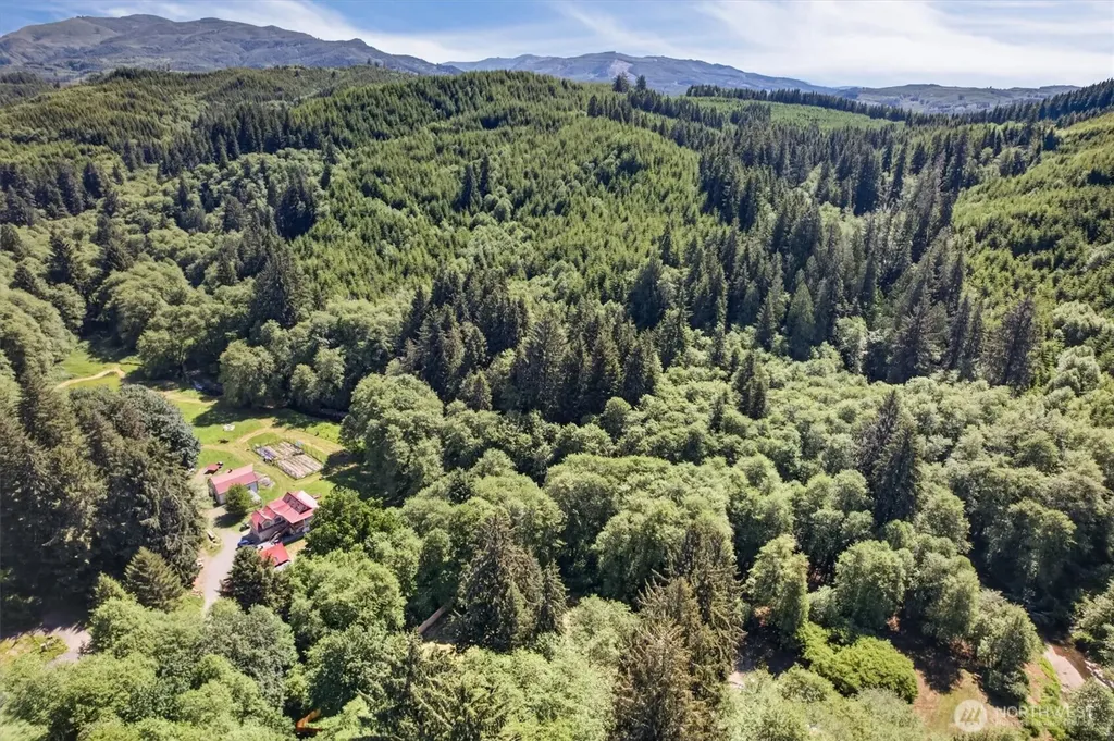 344 N Hull Creek Road Grays River WA 98621