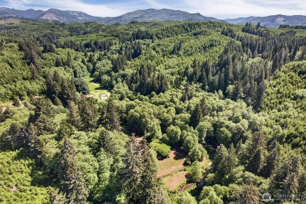 344 N Hull Creek Road Grays River WA 98621