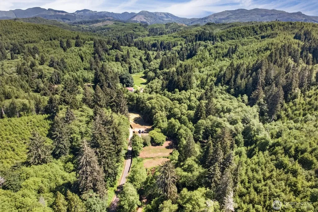 344 N Hull Creek Road Grays River WA 98621