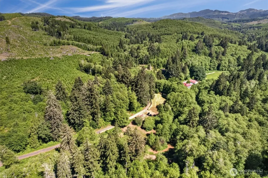 344 N Hull Creek Road Grays River WA 98621