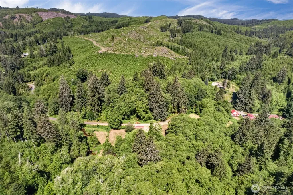 344 N Hull Creek Road Grays River WA 98621