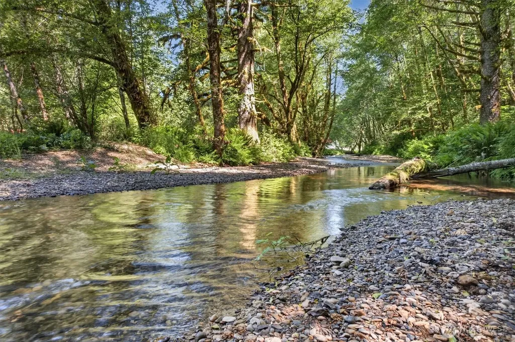 344 N Hull Creek Road Grays River WA 98621