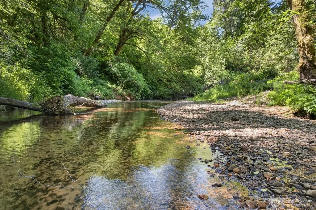 344 N Hull Creek Road Grays River WA 98621