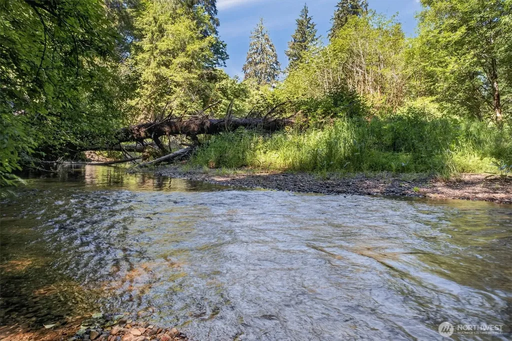344 N Hull Creek Road Grays River WA 98621