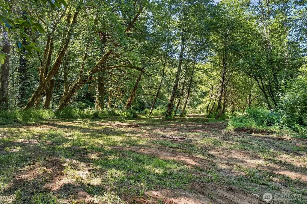 344 N Hull Creek Road Grays River WA 98621
