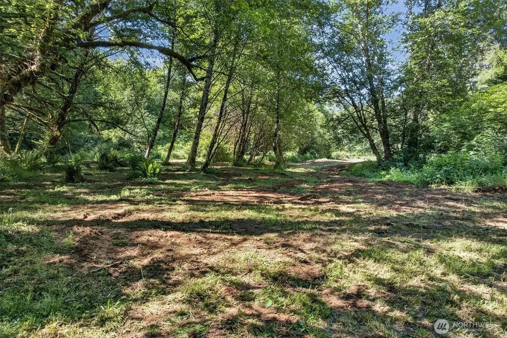 344 N Hull Creek Road Grays River WA 98621
