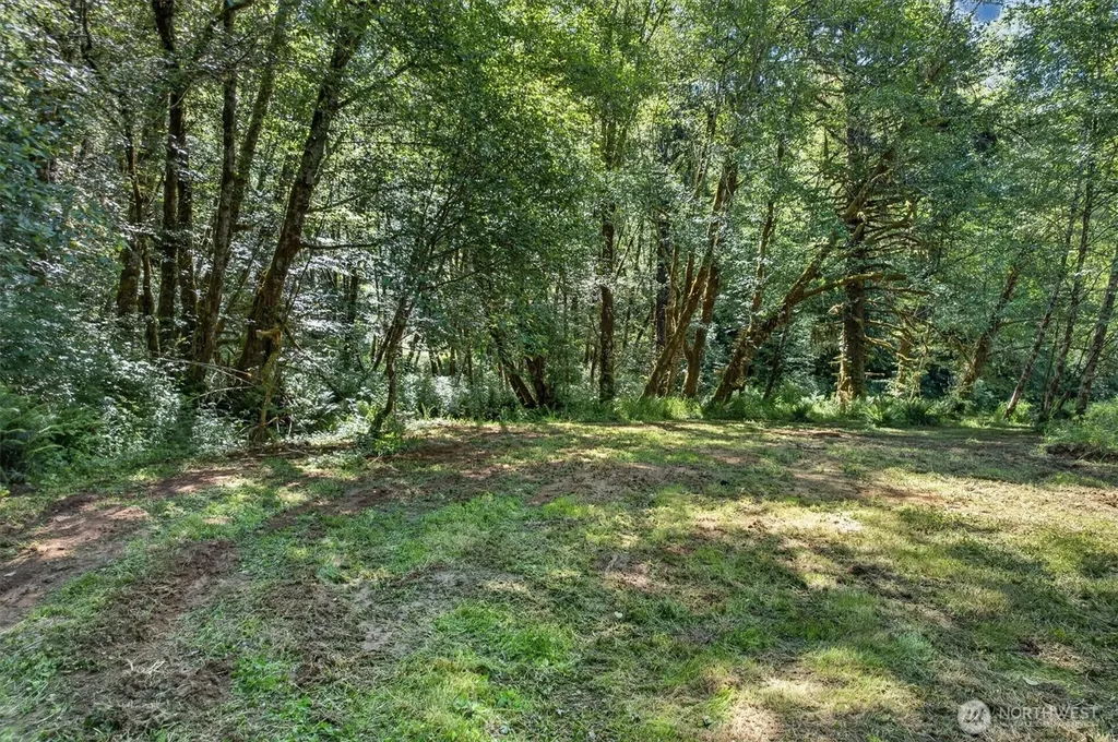 344 N Hull Creek Road Grays River WA 98621