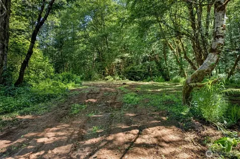 344 N Hull Creek Road Grays River WA 98621