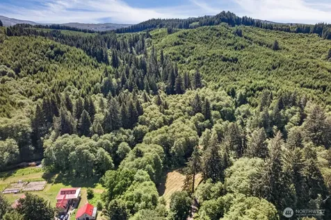 344 N Hull Creek Road Grays River WA 98621