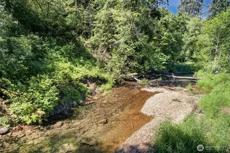 344 N Hull Creek Road Grays River WA 98621