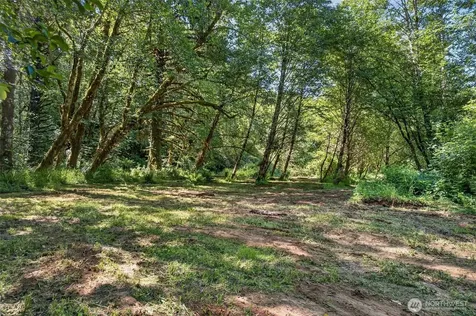 344 N Hull Creek Road Grays River WA 98621