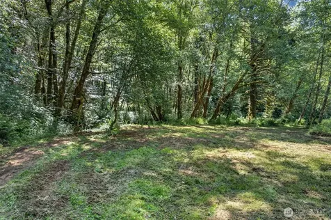 344 N Hull Creek Road Grays River WA 98621