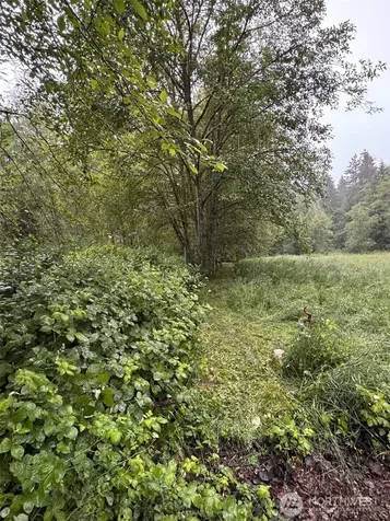 0 198th Avenue NE Redmond WA 98053
