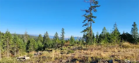 190 Skyline Ridge Drive Cle Elum WA 98922
