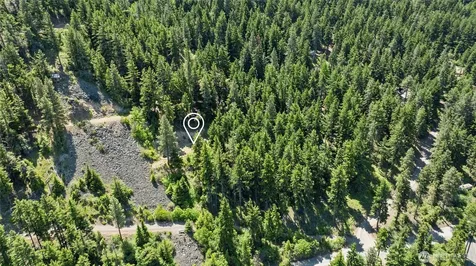 1208 Rodeo Road Cle Elum WA 98922