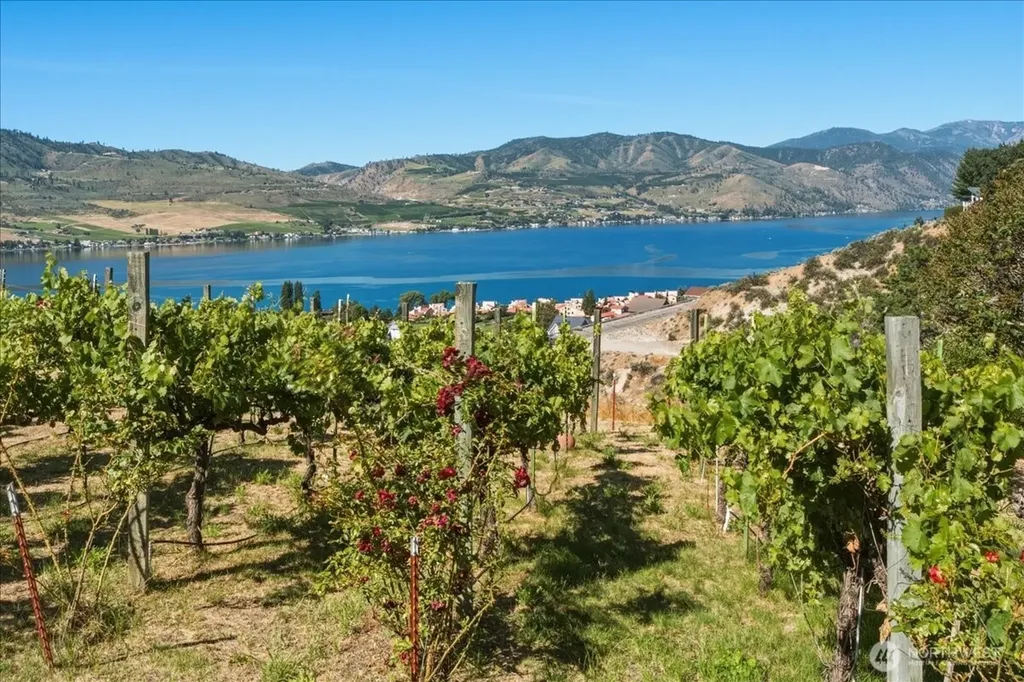 104 Orchard View Drive Chelan WA 98816