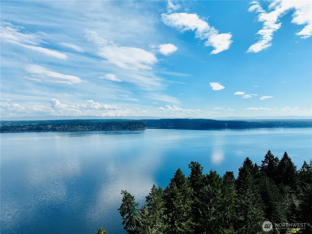 10111 Totem Way Anderson Island WA 98303