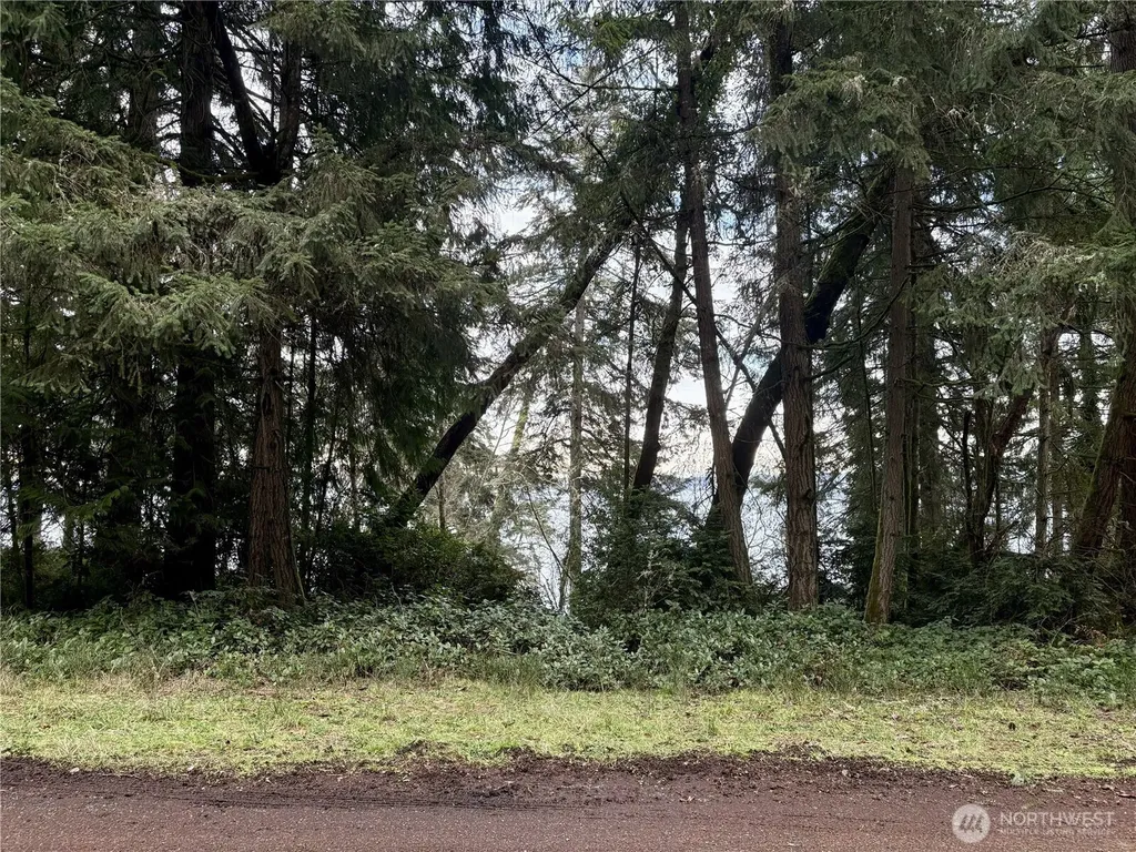 10111 Totem Way Anderson Island WA 98303