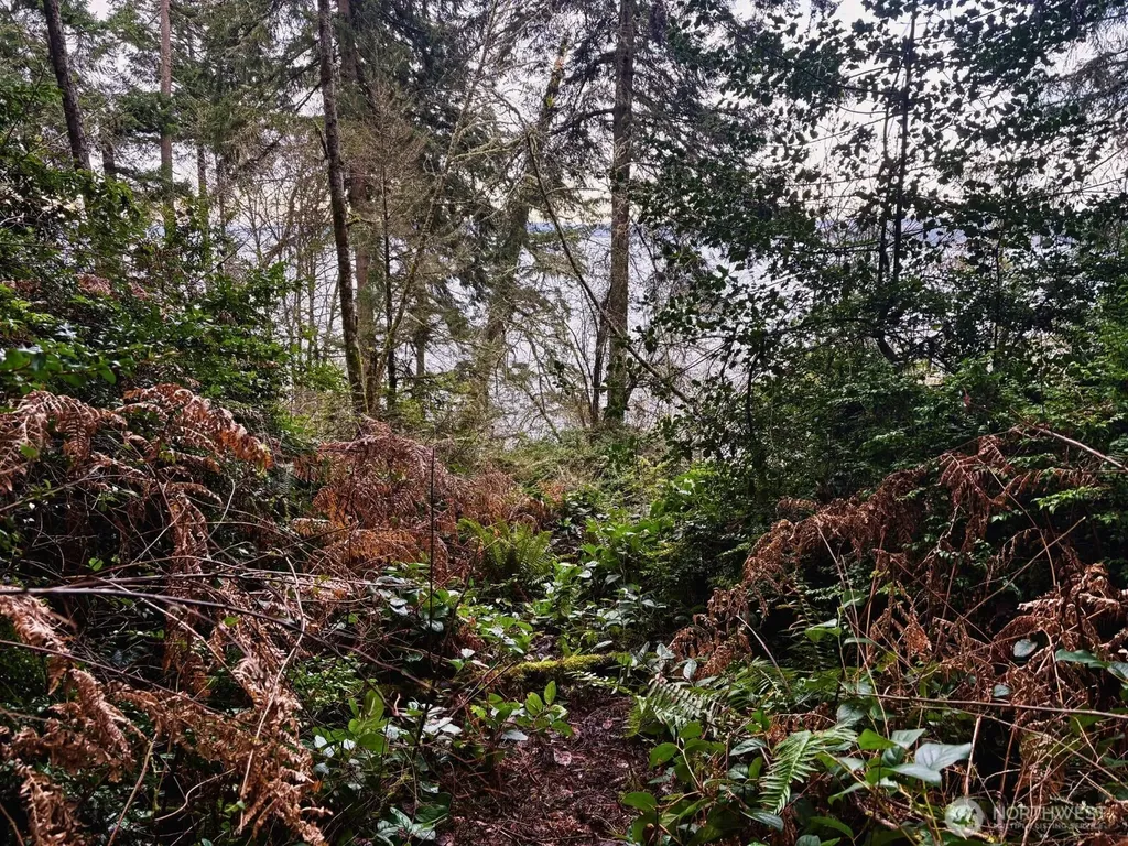 10111 Totem Way Anderson Island WA 98303