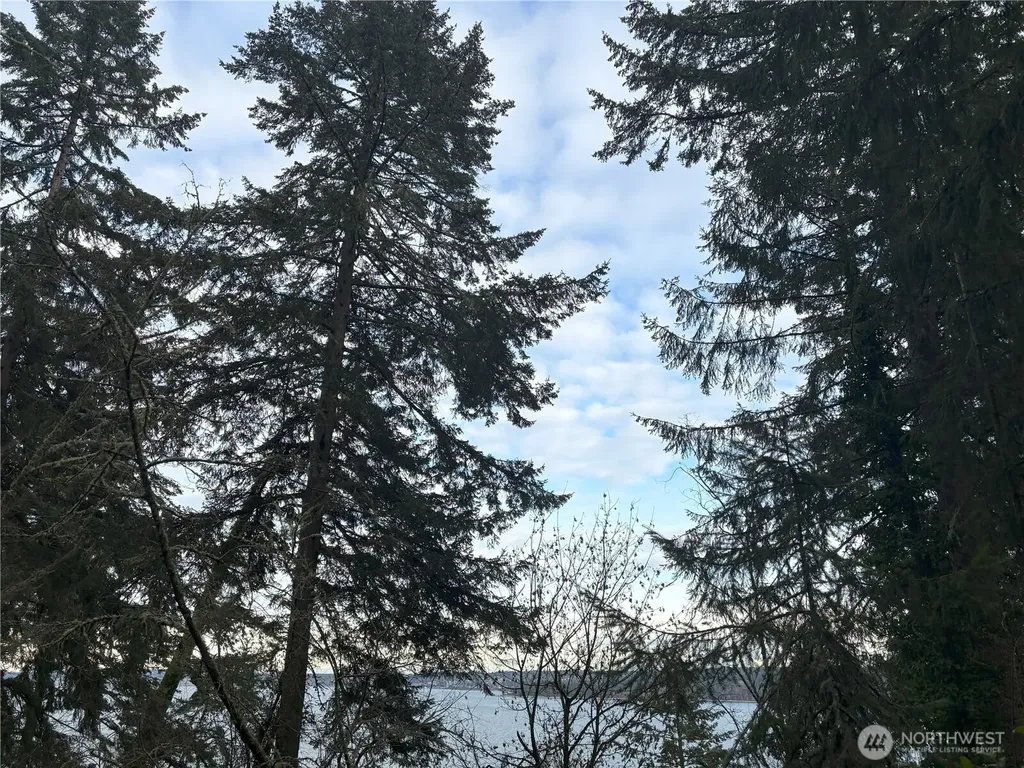 10111 Totem Way Anderson Island WA 98303