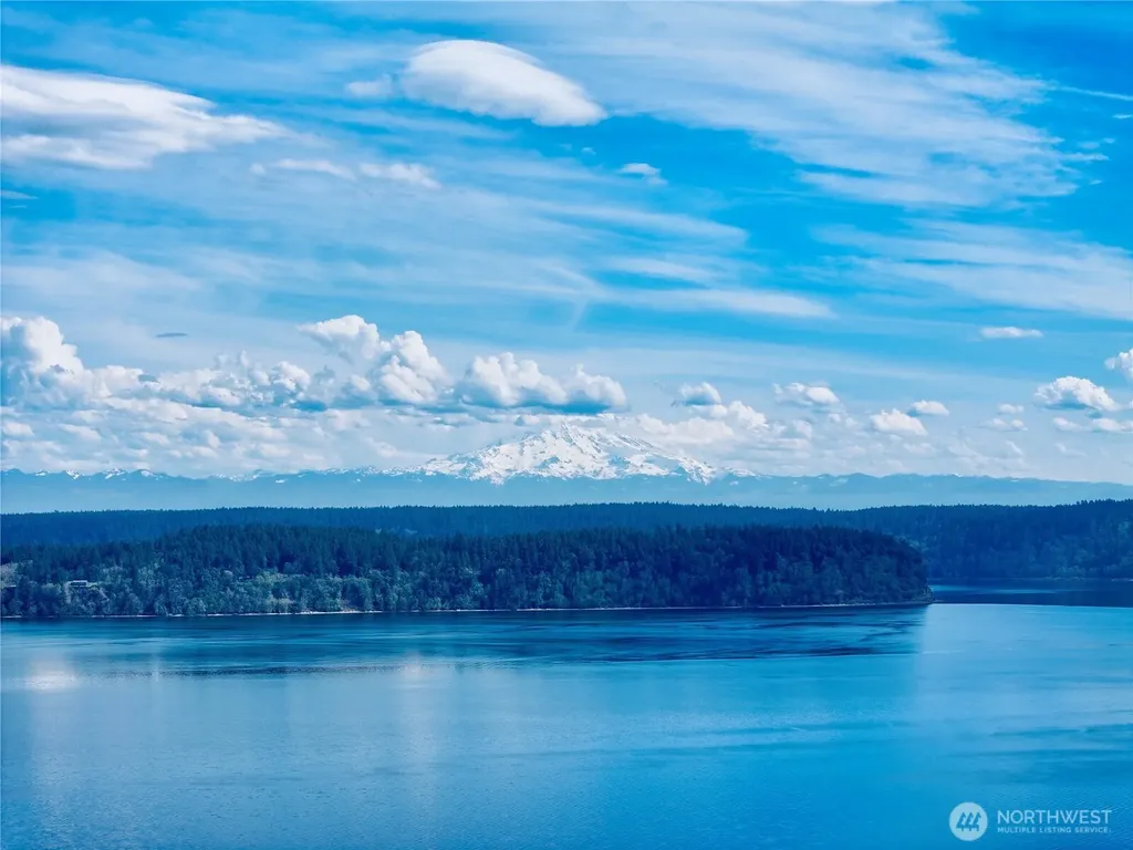 10111 Totem Way Anderson Island WA 98303
