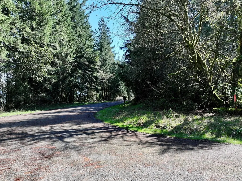 10111 Totem Way Anderson Island WA 98303