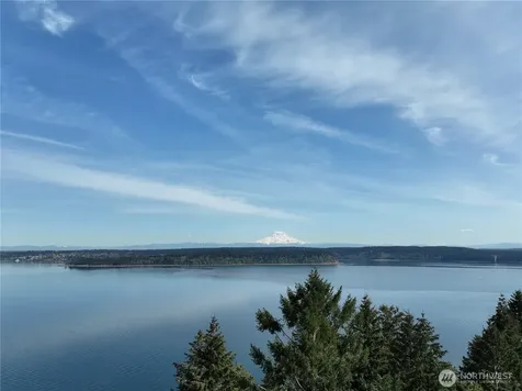 10111 Totem Way Anderson Island WA 98303