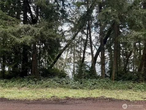 10111 Totem Way Anderson Island WA 98303