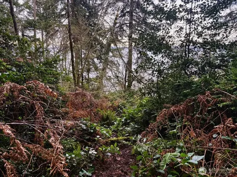 10111 Totem Way Anderson Island WA 98303