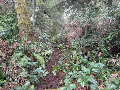 10111 Totem Way Anderson Island WA 98303