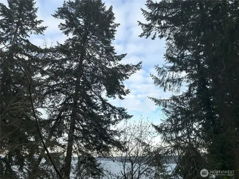 10111 Totem Way Anderson Island WA 98303