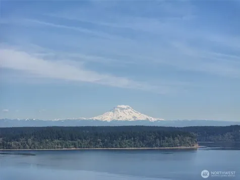 10111 Totem Way Anderson Island WA 98303