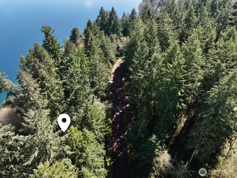 10111 Totem Way Anderson Island WA 98303