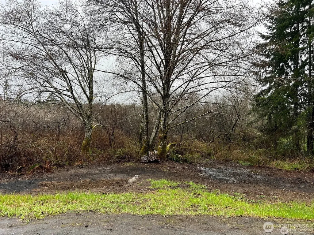 0 Willapa Road Raymond WA 98577