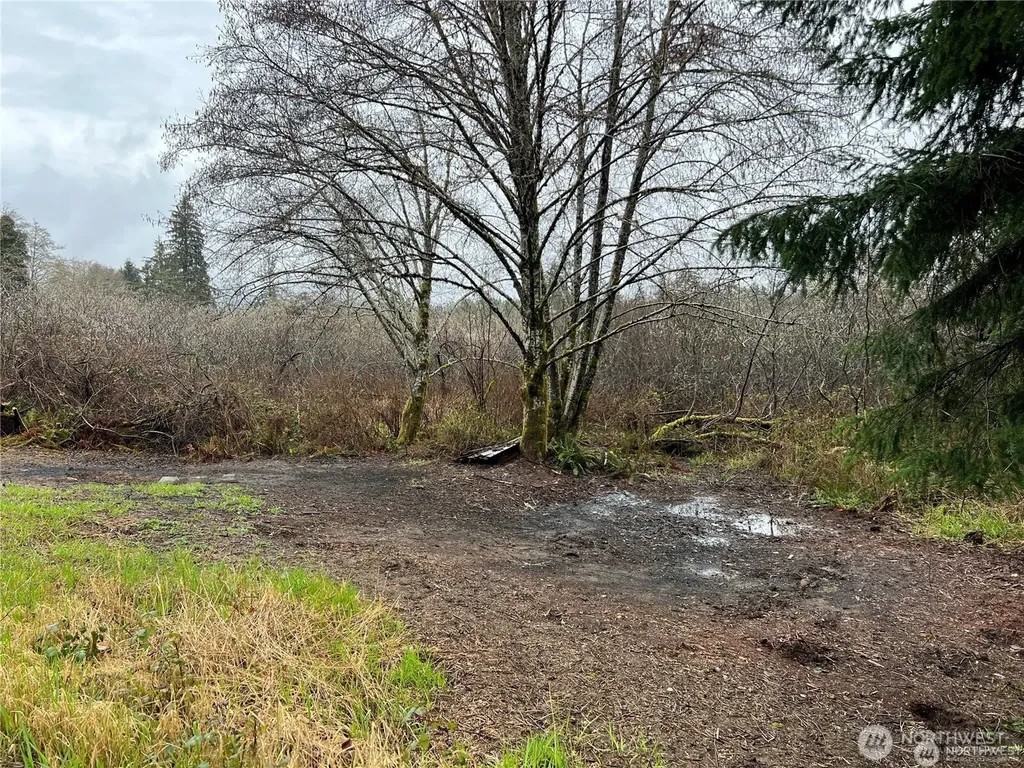 0 Willapa Road Raymond WA 98577
