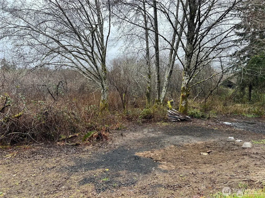 0 Willapa Road Raymond WA 98577