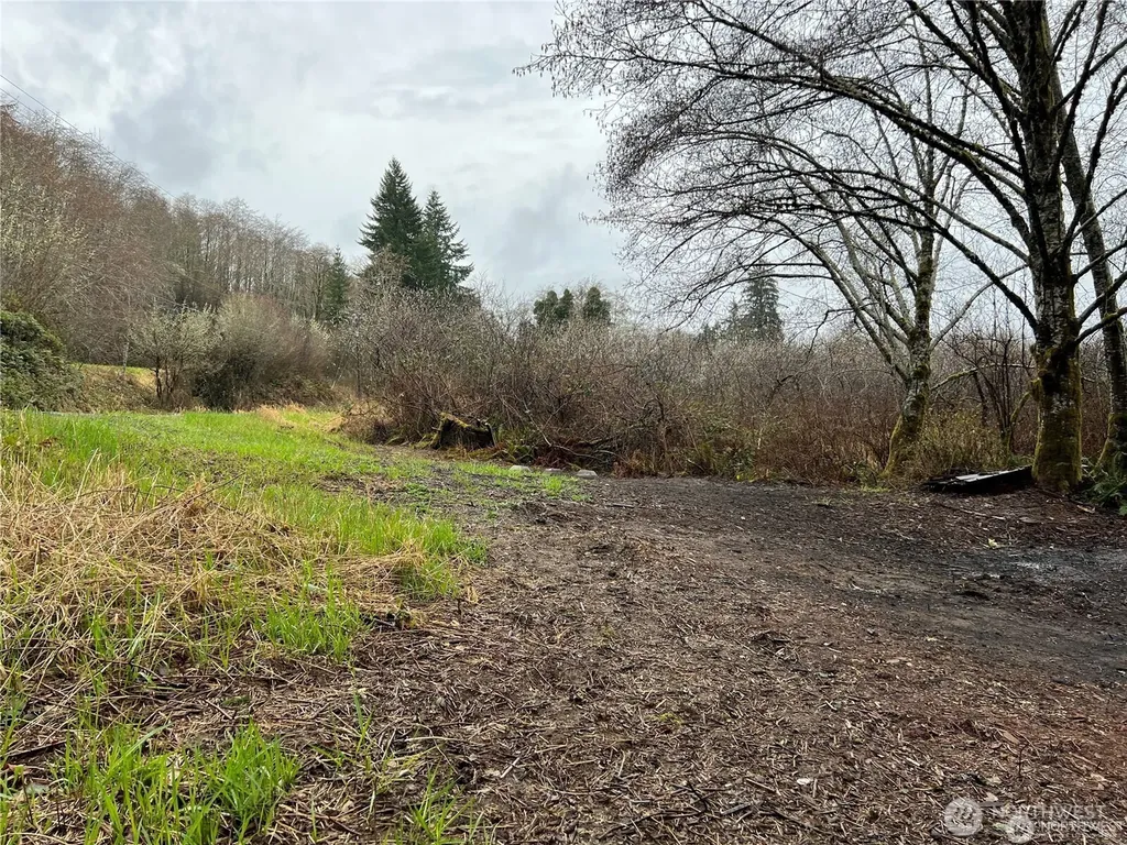 0 Willapa Road Raymond WA 98577