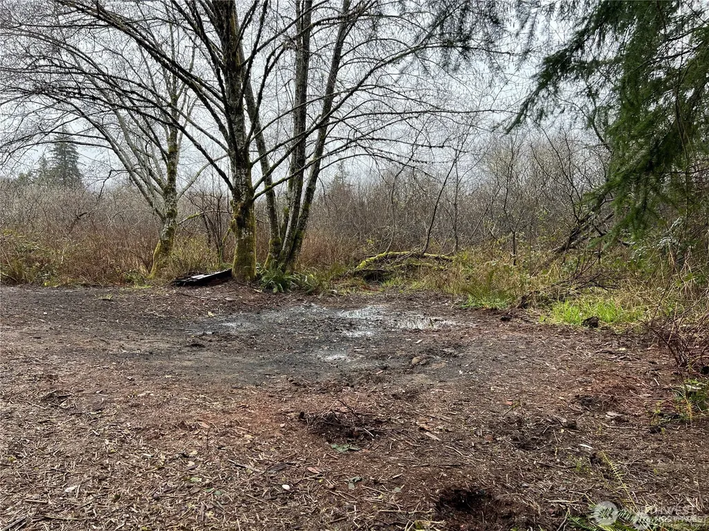 0 Willapa Road Raymond WA 98577
