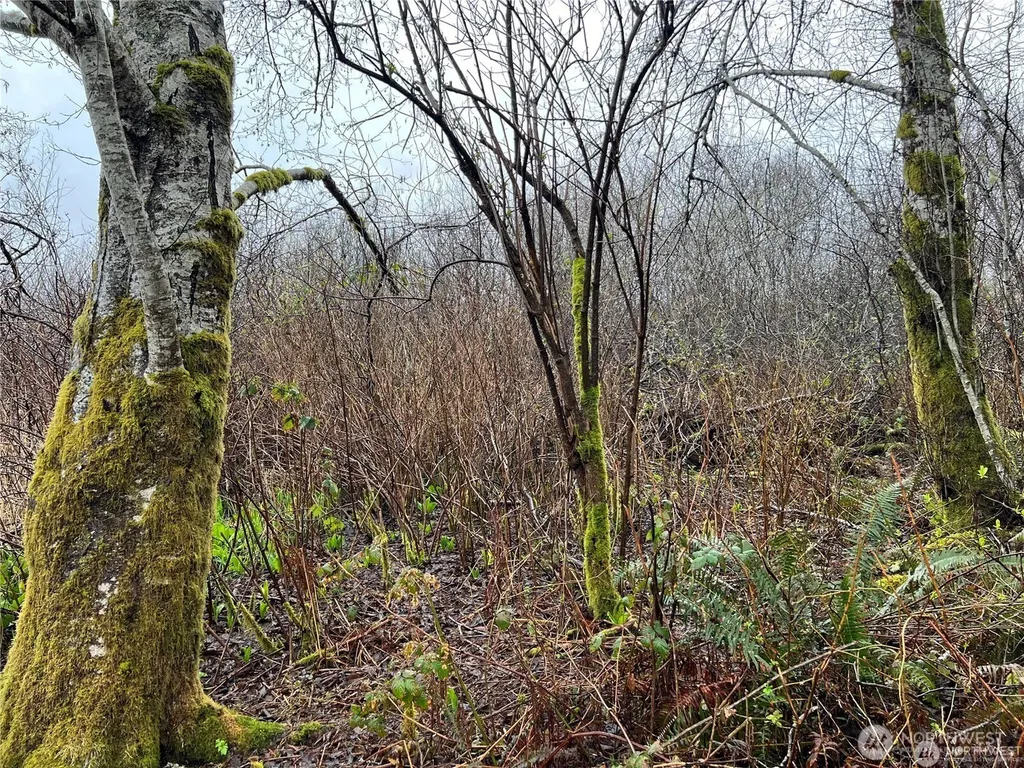 0 Willapa Road Raymond WA 98577