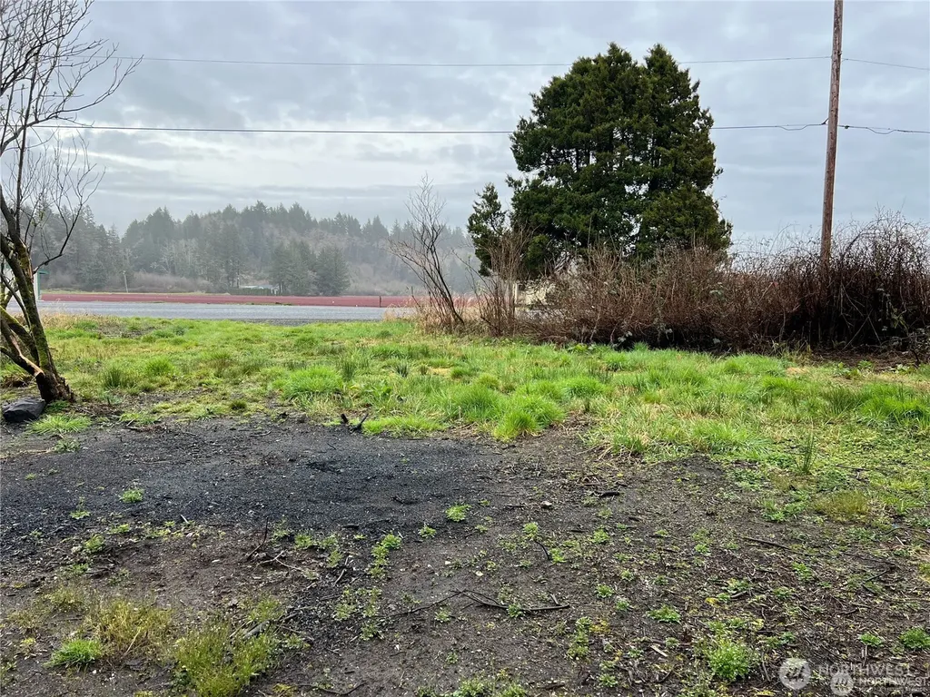 2361 Evergreen Park Road Grayland WA 98547