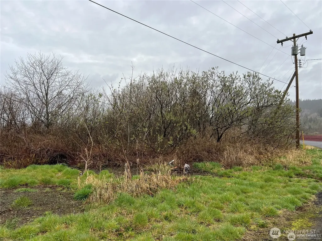 2361 Evergreen Park Road Grayland WA 98547