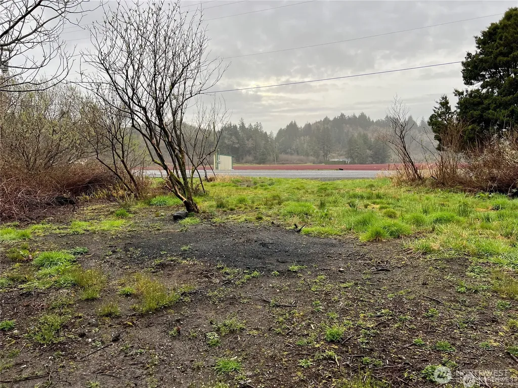 2361 Evergreen Park Road Grayland WA 98547