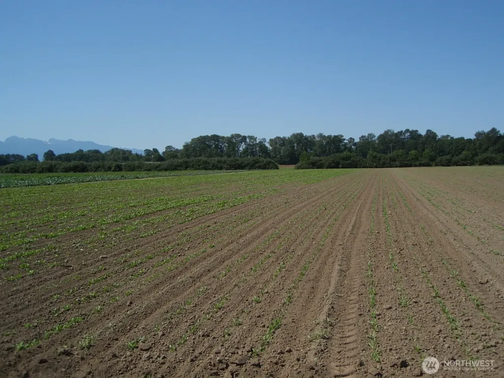 1888 Towne Road Sequim WA 98382
