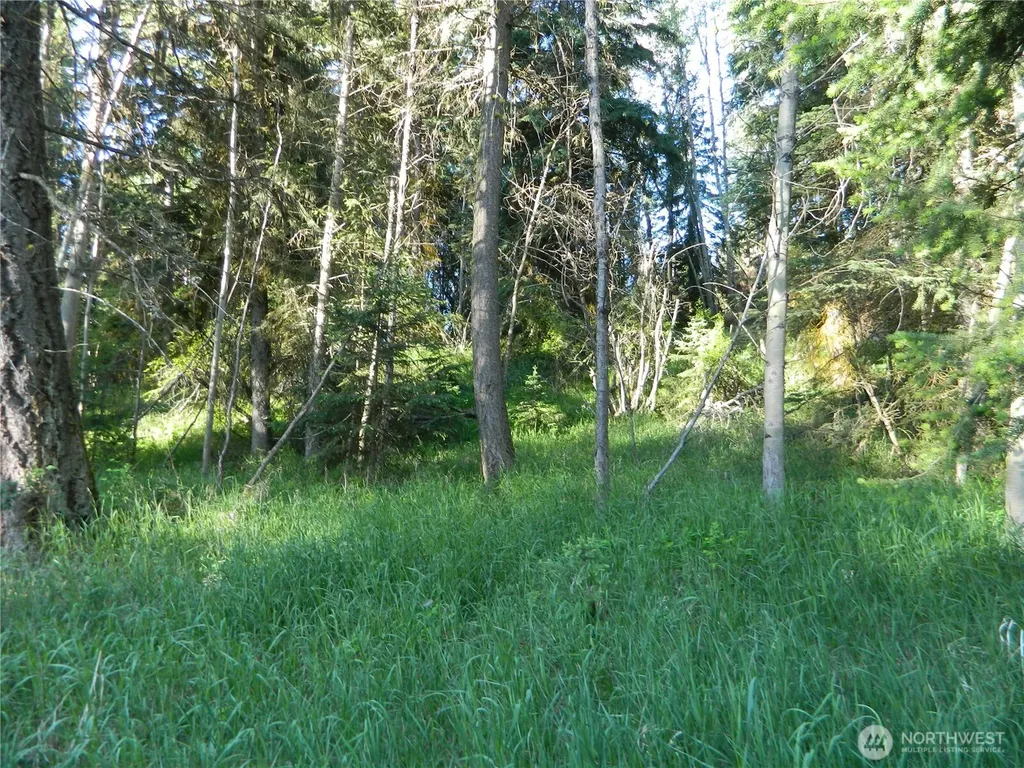 0 Tbd Lake View Drive Oroville WA 98844