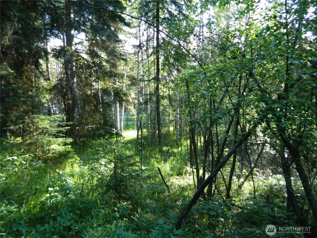 0 Tbd Lake View Drive Oroville WA 98844