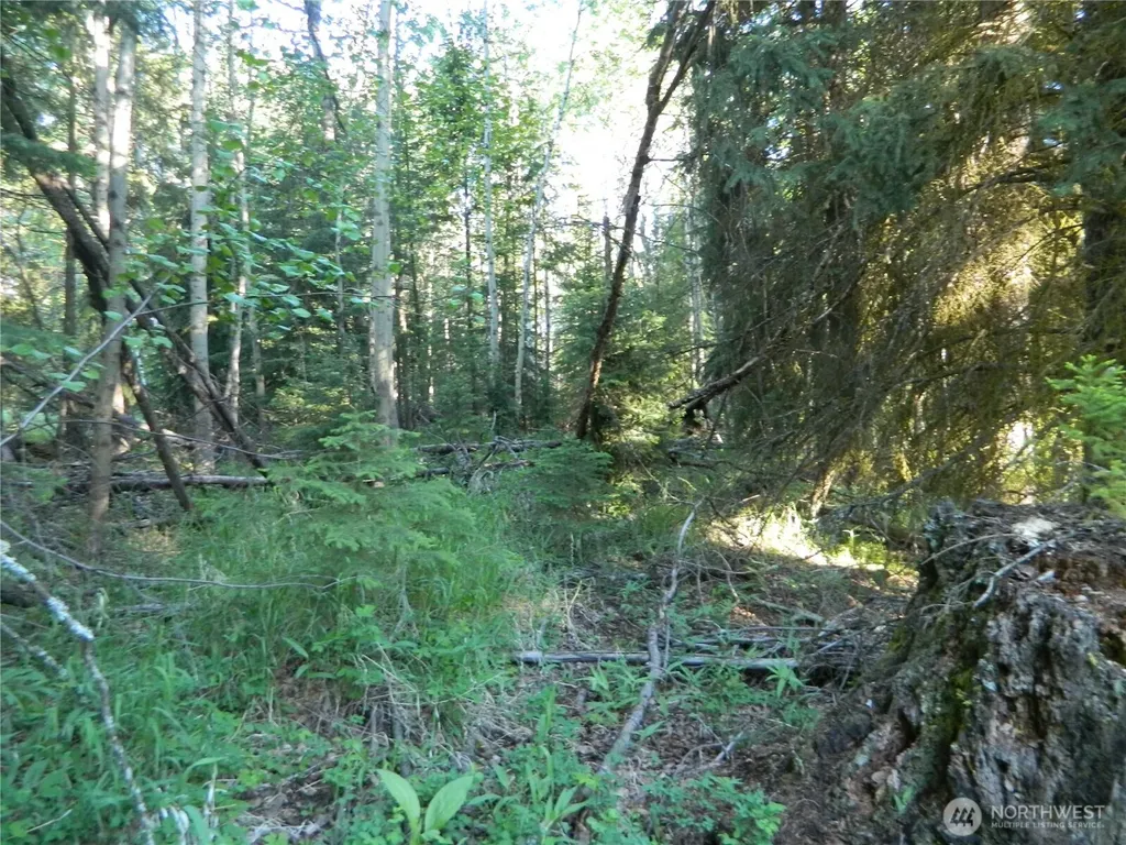 0 Tbd Lake View Drive Oroville WA 98844