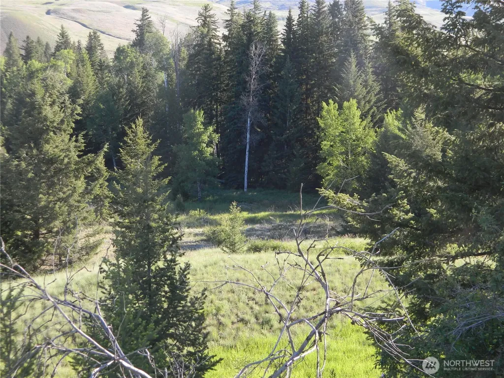 0 Tbd Lake View Drive Oroville WA 98844
