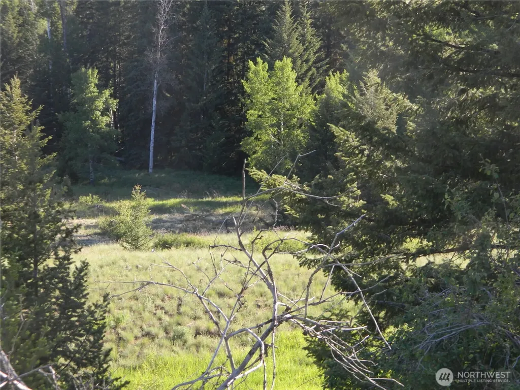 0 Tbd Lake View Drive Oroville WA 98844