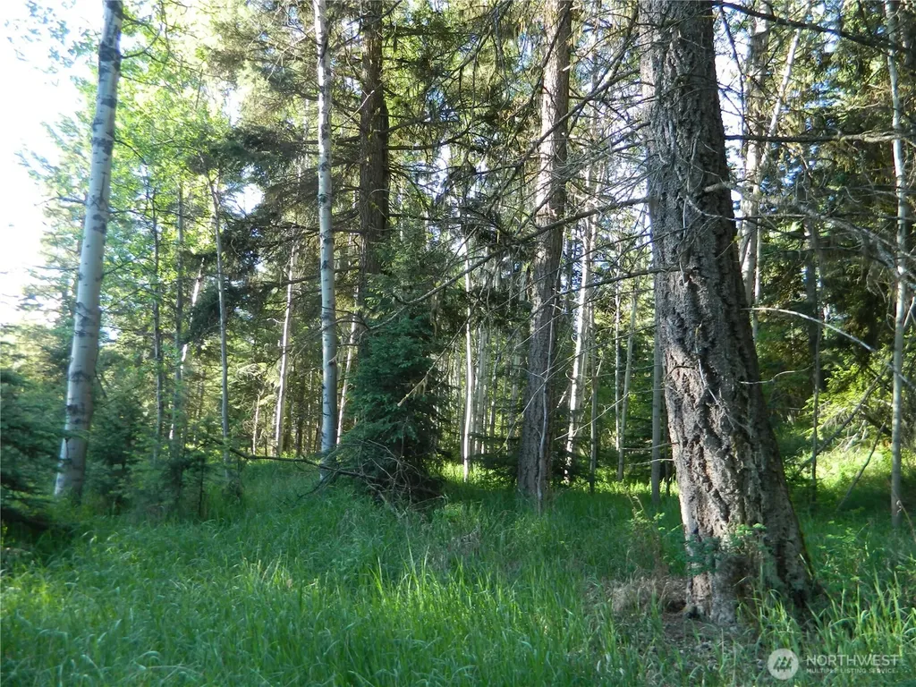 0 Tbd Lake View Drive Oroville WA 98844