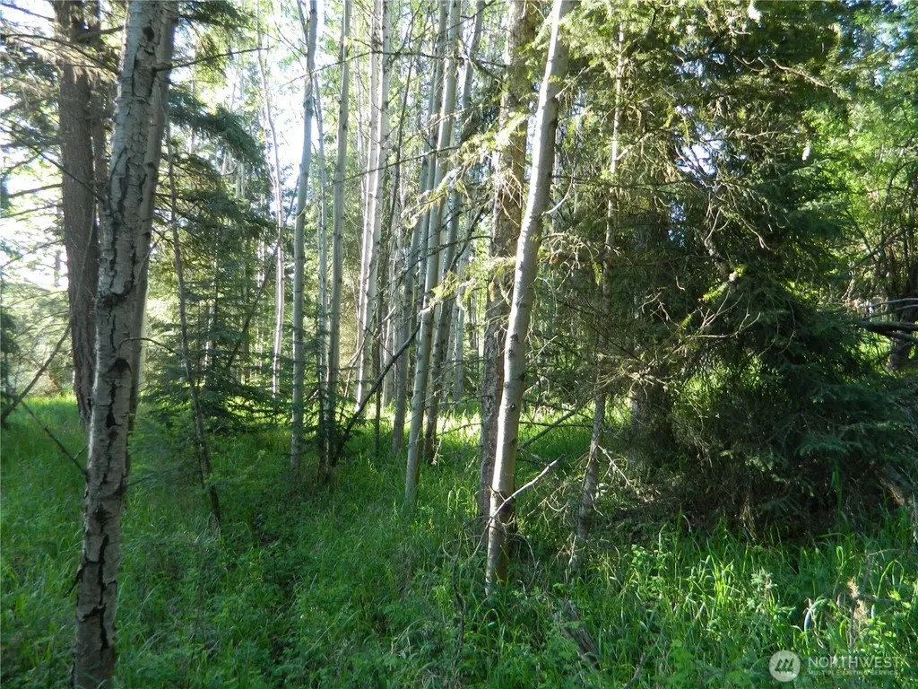 0 Tbd Lake View Drive Oroville WA 98844